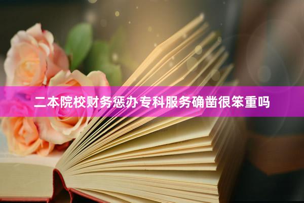 二本院校财务惩办专科服务确凿很笨重吗